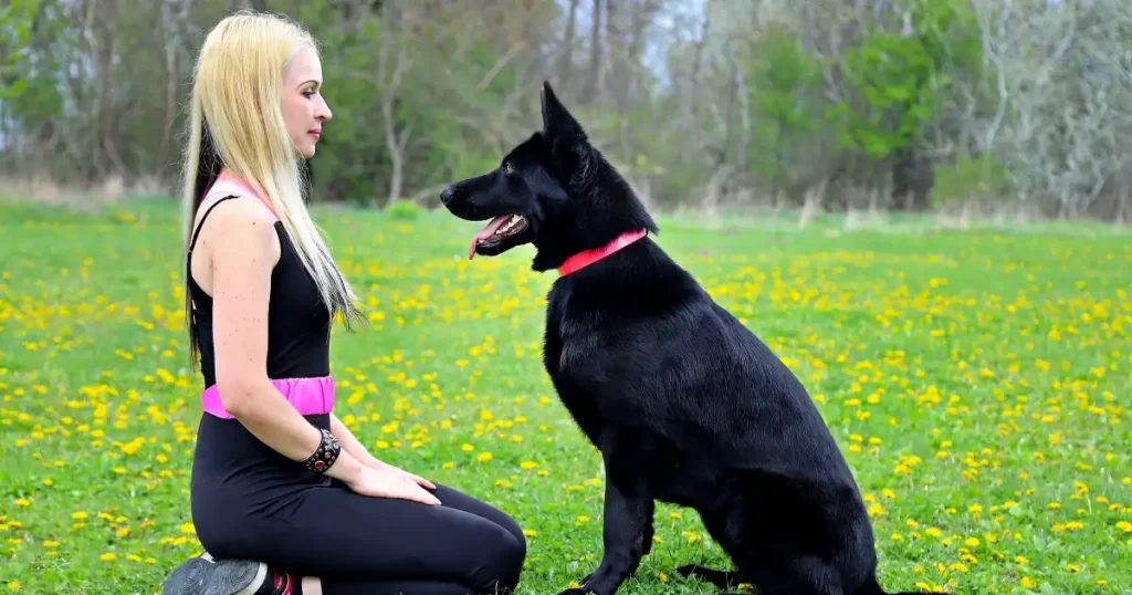 Best guard dogs for women