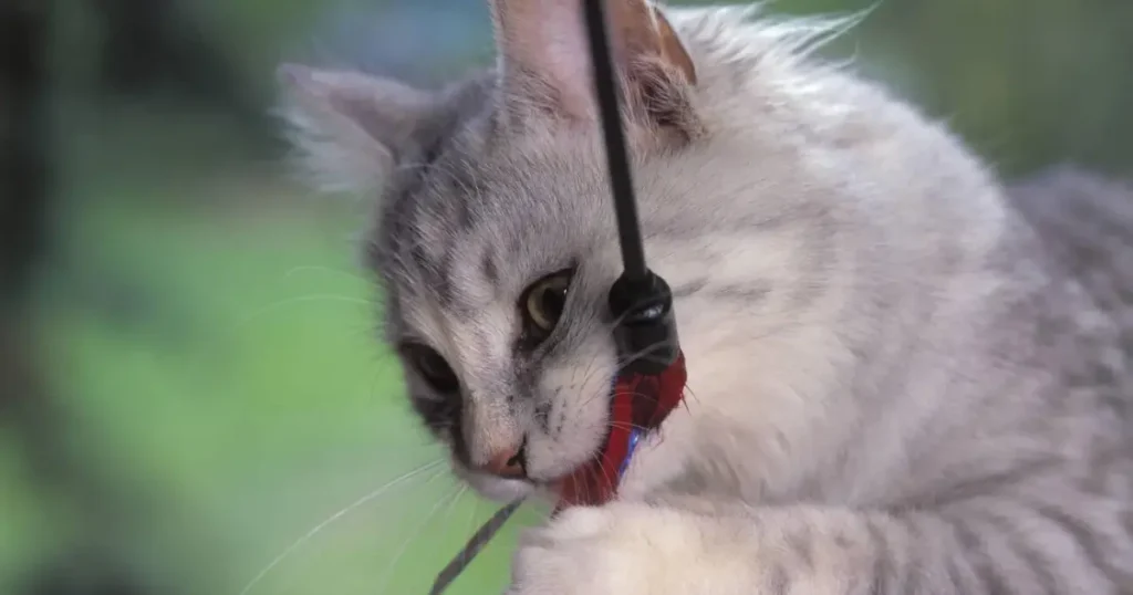 how to stop cats from chewing cords