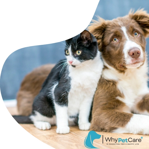 Pet Care Whypetcare